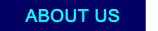 About Us link